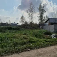 زمین جنگلی با نامه بنیاد مسکن|فروش زمین و ملک کلنگی|رشت, بازار|دیوار