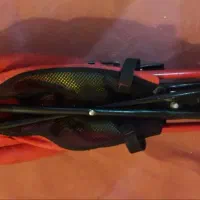 کالسکه عصایی