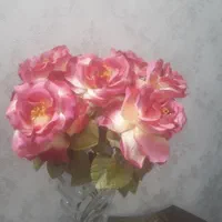 گل خارجی نو