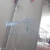 قفس کاسکو وطوطی