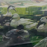 تابلو نقاشی