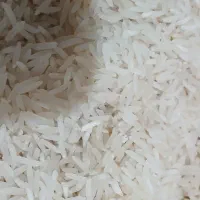 برنج فجر سوزنی|خوردنی و آشامیدنی|علیآباد کتول, |دیوار