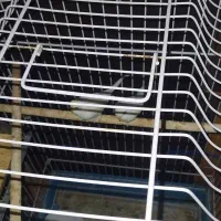 پرنده|پرنده|تخت, |دیوار