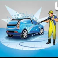 نیروی کار کارواش