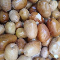 سنجد خشک شده امسال|خوردنی و آشامیدنی|شیراز, درکی|دیوار