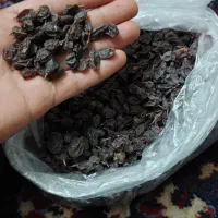 کشمش|عمدهفروشی|محمدیه-قزوین, |دیوار