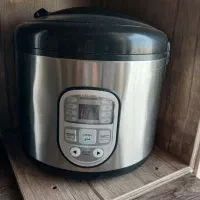 پلوپز وکیک پز گاسونیک