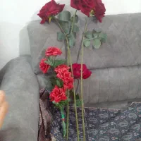 چند شاخه گل و|گل مصنوعی|سبزوار, شهرک ابوذر|دیوار