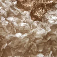 روتختی|سرویس روتختی|رودهن, |دیوار