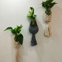 گلدان دیوار و انواع دیوارکوب