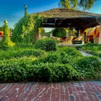 استخدام سالن دار