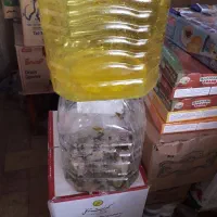 دبه ترشی ده کیلوی|ظروف نگهدارنده، پلاستیکی، یک‌بارمصرف|شهرضا, |دیوار