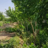 باغ-ویلا-چهاردیواری-زمین-باغی-کهریزسنگ-و-قهدریجان