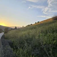 فروش زمین 37000 متری         (سند تک برگ)|فروش زمین و ملک کلنگی|توتکابن, |دیوار