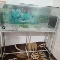 آکواریوم شیشه 5 میل با پایه