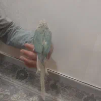 سلام گرینچیک پاین اپل نر دستی|پرنده|قوچان, |دیوار