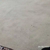 موکت