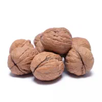 فروش عمده گردو به میزان یک تن مناسب خشکبارفروشان