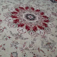قالی کرمی و قالی لاکی خوشرنگ و تمیز|فرش|اهواز, شهرک دانشگاه|دیوار