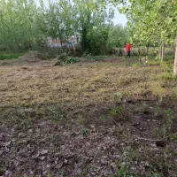 زمین /کاربری مسکونی/گیلان/دنج/نزدیک زیبا کنار|فروش زمین و ملک کلنگی|آستانه اشرفیه, |دیوار