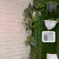 واگذاری کافه|اجارهٔ مغازه و غرفه|کرمان, |دیوار