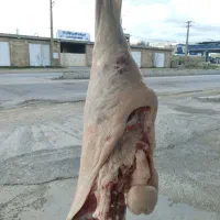 گوشت با کیفیت بالا و قیمت پایین