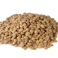 عدس میشخاص