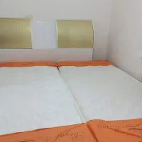 دو عدد تشک طبی فنری