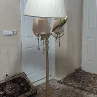 آباژور زیبا