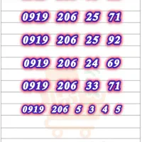 ۹۱۹ سیم کارت (۲۰۶) new1