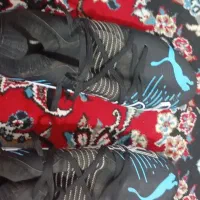 کفش فوتبال|کیف، کفش، کمربند|بابکان, |دیوار