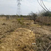 زمین-داخل-بافت