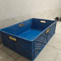 جعبه|ظروف نگهدارنده، پلاستیکی، یک‌بارمصرف|قم, زند آباد|دیوار