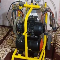 شیردوش گاوی
