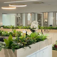 پتوس گل سنگ طرحِ متفاوت فلاورباکس پارکینگ