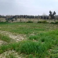 زمین باغ روستای ریکا|فروش زمین و ملک کلنگی|ایلام, |دیوار