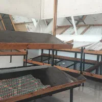 قفسه میوه فروشی درگهان