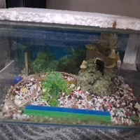 اکواریوم شیشه خم