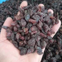 کشمش آفتابی اصل بوانات|خوردنی و آشامیدنی|شیراز, کوشک میدان|دیوار