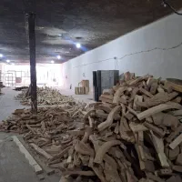 یک باب گارگاه ۵۰۰زمین با ۱۴۰۰بنا اجاره  دانش ۲|اجارهٔ دفتر صنعتی، کشاورزی، تجاری|پردیس, شهرک صنعتی خرمدشت فاز ۷|دیوار