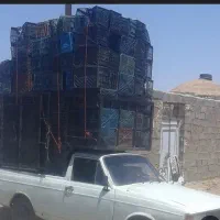 سبد وبادی|عمدهفروشی|محمدشهر, عباس آباد|دیوار