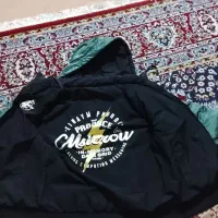 یک عدد کاپشن دورو|لباس|مشهد, قائم|دیوار