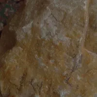 سنگ شجر|کلکسیون اشیاء عتیقه|میانه, |دیوار