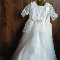 لباس مجلسی ۲ عدد|لباس|مینودشت, |دیوار