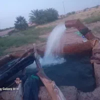 اجاره موتور برقی روبار فوری فوری|خدمات باغبانی و درختکاری|رودبار (کرمان), |دیوار