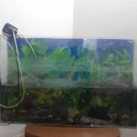 آکواریوم|لوازم جانبی حیوانات|کرج, شهرک البرز ۳|دیوار