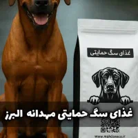 غذا خشک سگ و گربه غذا حمایتی مهدانه البرز