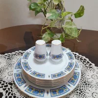 ظروف پذیرایی چینی نو