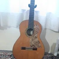 گیتار استیو