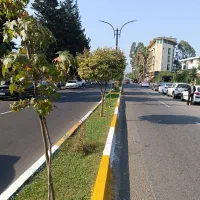 مشارکت-درساخت